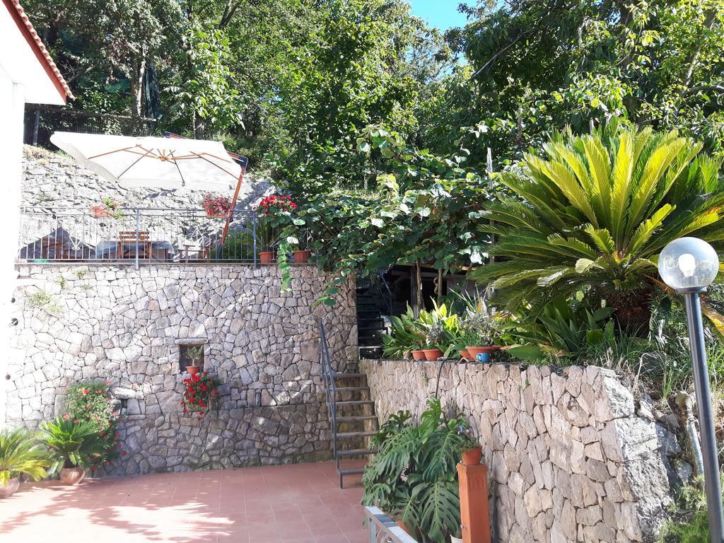 维克艾库塞La Casa Del Sole别墅 外观 照片
