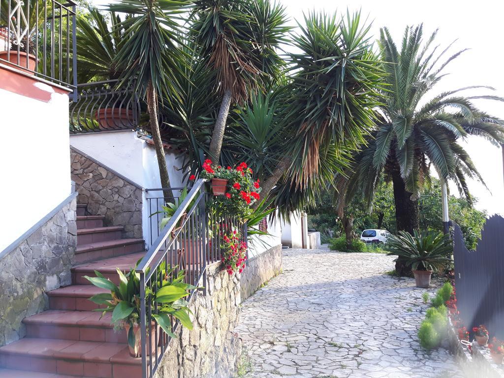 维克艾库塞La Casa Del Sole别墅 外观 照片