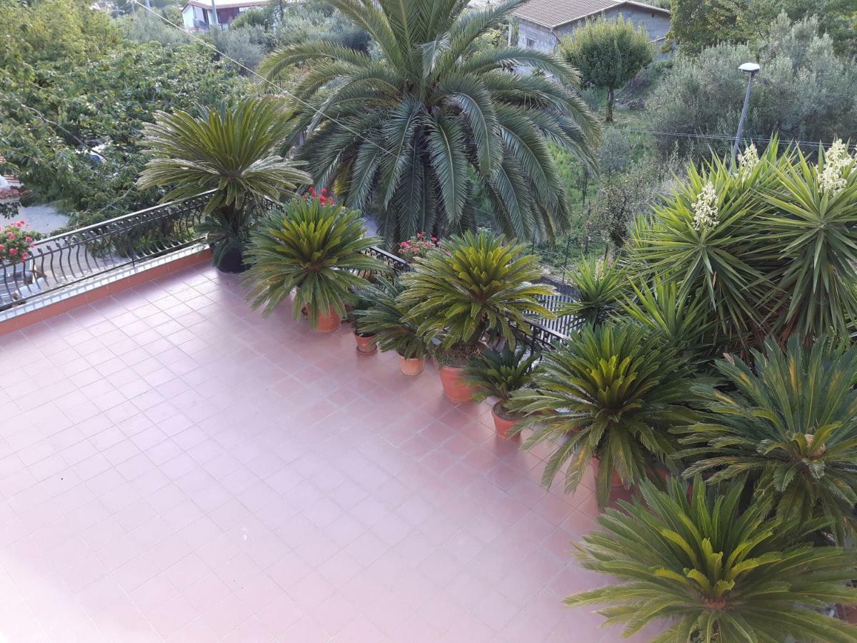 维克艾库塞La Casa Del Sole别墅 外观 照片
